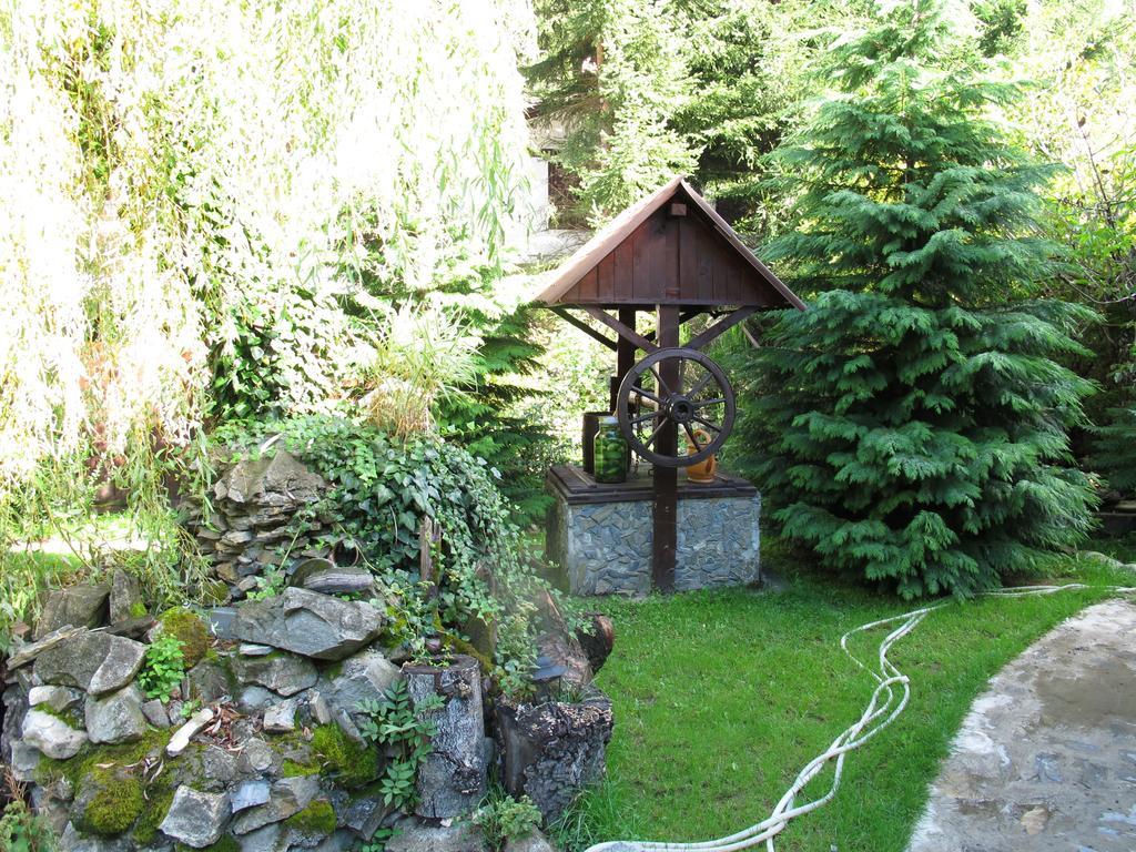 ホテル Pensiunea Dumbravita Rîu de Mori エクステリア 写真